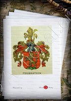velin-d-Arches-FEUERSTEIN_Wappenbuch der Stadt Basel . B.Meyer Knaus 1880_Schweiz