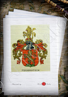 velin-d-Arches-FEUERSTEIN_Wappenbuch der Stadt Basel . B.Meyer Knaus 1880_Schweiz