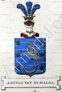 AEBINGA van HUMALDA