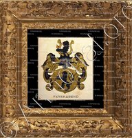 cadre-ancien-or-FEYERABEND_Wappenbuch der Stadt Basel . B.Meyer Knaus 1880_Schweiz