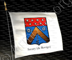 drapeau-SAVARY (de REVIGO)_duc de Rovigo_Empire français