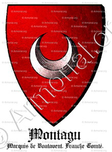 MONTAGU