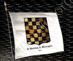 drapeau-de ROSTAING de MESENGERES_Brie_France (i)