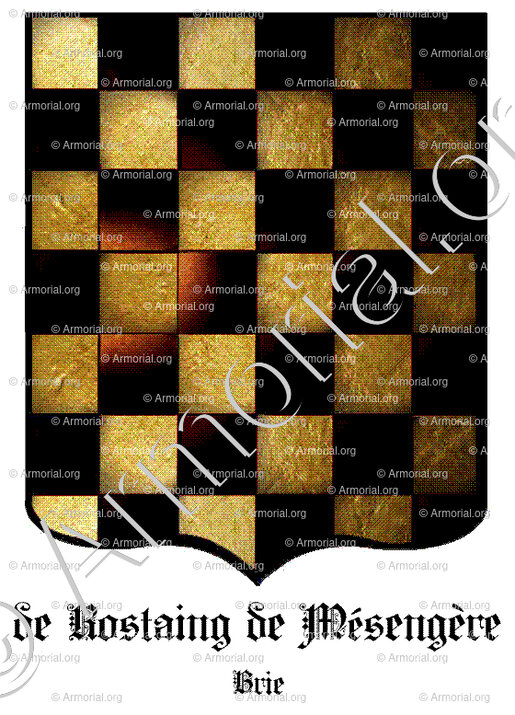 de ROSTAING de MESENGERES_Brie_France (i)
