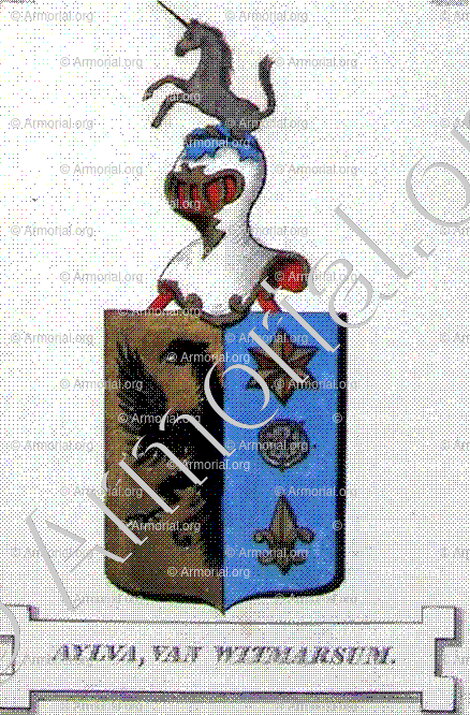 AYLVA van WITMARSUM_Friesland (Stamboek van den Frieschen, 1846)_Nederland