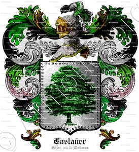CASTAÑER