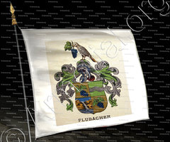 drapeau-FLUBACHER_Wappenbuch der Stadt Basel . B.Meyer Knaus 1880_Schweiz