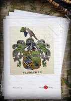velin-d-Arches-FLUBACHER_Wappenbuch der Stadt Basel . B.Meyer Knaus 1880_Schweiz
