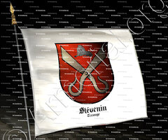 drapeau-STEVENIN_Carouge, Genève._Suisse (i)