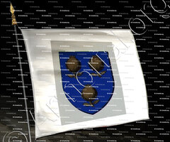 drapeau-GARNERIN_Ancien Duché de Savoie_États de Savoie