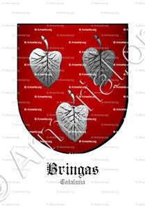 BRINGAS