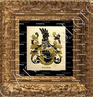 cadre-ancien-or-FLUCK_Wappenbuch der Stadt Basel . B.Meyer Knaus 1880_Schweiz