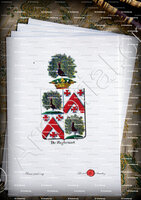 velin-d-Arches-DE WAGHENART_Armorial royal des Pays-Bas_Europe