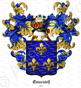 CAMENISCH