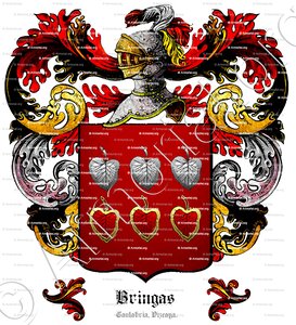 BRINGAS