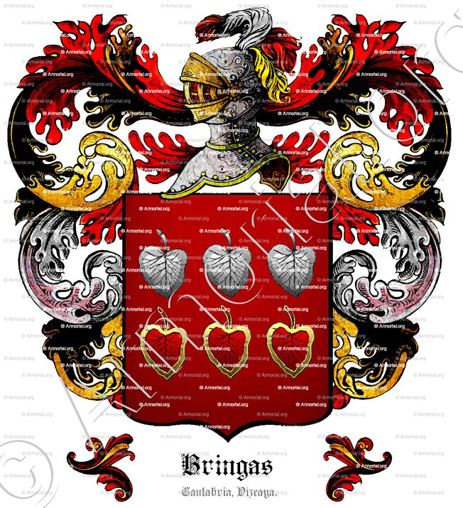 BRINGAS_Cantabria, Vizcaya._España (1)