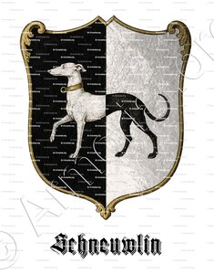 SCHNEUWLIN (Bern, Schaffhausen)