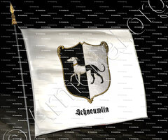 drapeau-SCHNEUWLIN_Bern, Schaffhouse, Zurich_Schweiz