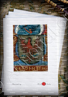 velin-d-Arches-BRÂDENBERG_ Mss. XVIes._Europe