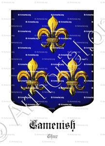 CAMENISCH