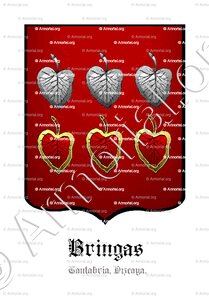 BRINGAS