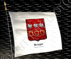 drapeau-BRINGAS_Cantabria, Vizcaya._España (2)