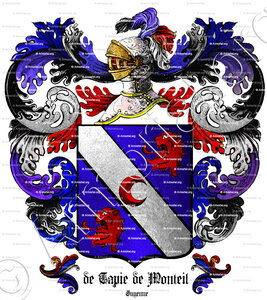 De TAPIE de MONTEIL