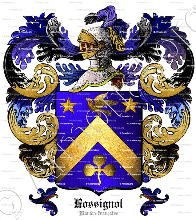 ROSSIGNOL_Flandre française._France ()