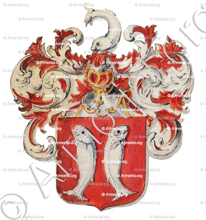 CABELIAU_Holland_Nederland