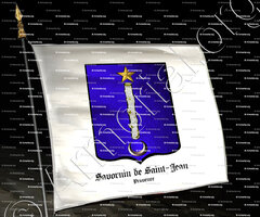 drapeau-SAVORNIN de SAINT-JEAN_Provence,_France (1)