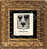 cadre-ancien-or-d'AMPLEMAN_Picardie, Normandie._France