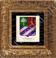 cadre-ancien-or-BONFANTI_Baron de l'Empire, 1810._France