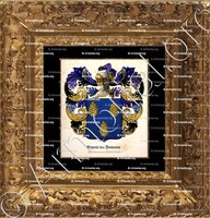 cadre-ancien-or-PINAULT des JANMAUX_Anjou, Tournaisis, Flandre romane (1)