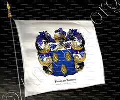 drapeau-PINAULT des JANMAUX_Anjou, Tournaisis, Flandre romane (1)