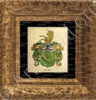 cadre-ancien-or-FREY_Armorial de la ville de Bâle. B.Meyer Knaus 1880_Schweiz. Suisse. Svizzera