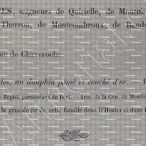 de JAMES_Armorial du Bourbonnais (Cte G. de Soultrait, 1857)_France (2)