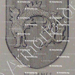 de JAMES_Armorial du Bourbonnais (Cte G. de Soultrait, 1857)_France (4)