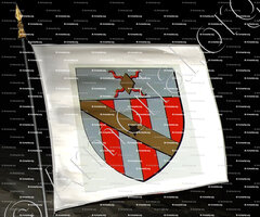 drapeau-GAUDINON _ Ancien Duché de Savoie_ États de Savoie-