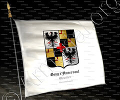 drapeau-GOUY d'ANSEROEUL (Chevalier)._Tournaisis français._France (2)