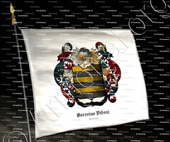 drapeau-SORESINA VIDONI_Provincia di Cremona_Italia
