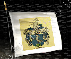 drapeau-FRIEDMANN