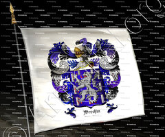 drapeau-WERCHIN_Flandre, Hainaut._Belgique ()