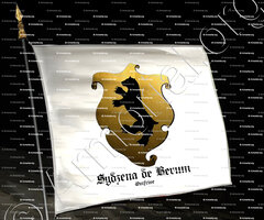 drapeau-SYDZENA de BERUM_Ostfrise_Deutschland (i)