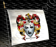 drapeau-AGENET de BREVIANDE_Berry_France (ii)