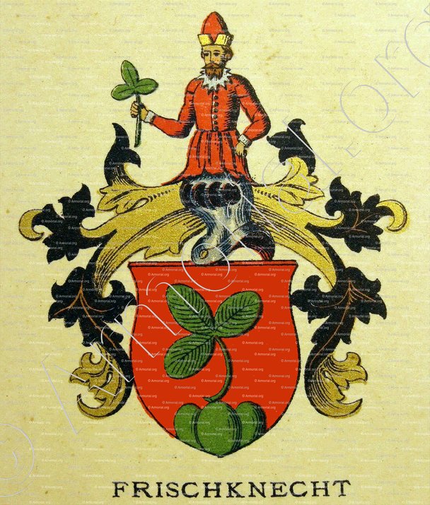 FRISCHKNECHT_Wappenbuch der Stadt Basel . B.Meyer Knaus 1880_Schweiz. Suisse. Svizzera.