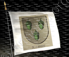 drapeau-de LA BROSSE_Bourbonnais_France