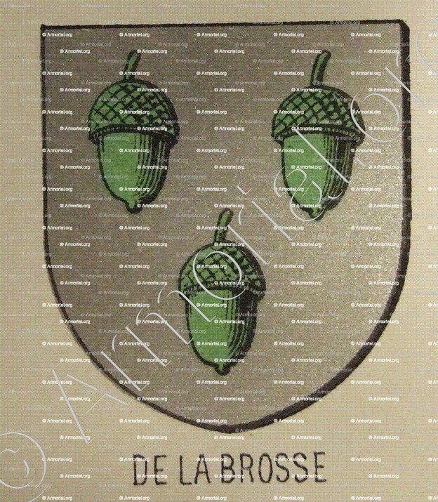 de LA BROSSE_Bourbonnais_France