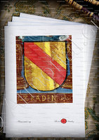 velin-d-Arches-RADEN_  Mss. XVIes._Europe