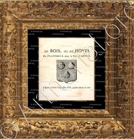 cadre-ancien-or-Du  BOIS dit De HOVES_Flandres,  Pays d'Artois._France