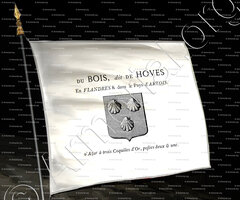 drapeau-Du  BOIS dit De HOVES_Flandres,  Pays d'Artois._France